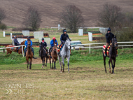 NH060322-92 - Nicky Henderson Stable Visit